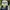 Vintage Streetwear Hat Pria navy photo 2