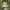 Sportswear Hat Pria tan cream photo 1