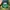 Odd Future Streetwear Skater Hat Pria green photo 3