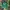 Odd Future Streetwear Skater Hat Pria green photo 1
