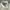 Polo Ralph Lauren Vintage Casual Sweatshirt Pria cream photo 4