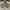 Crocs Minimalist Casual Sandals & slide Wanita cream photo 2