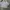 Streetwear Y2K T-shirt Pria white gray photo 3