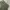 Vintage Casual Formal pants Pria green photo 4