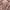 Love Bonito Casual Casual dress Wanita pink photo 8