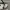 Guess Luxury Bags & purse Wanita white black photo 4