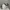 Guess Luxury Bags & purse Wanita white black photo 3