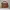 Guess Luxury Bags & purse Wanita brown photo 4