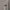 National Geographic Streetwear Luxury Sweater Pria gray photo 2