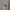 National Geographic Streetwear Luxury Sweater Pria Gray