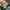 MLB Vintage Sportswear Hat Pria black photo 6