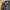 Biker Casual Leather jacket Pria black photo 1