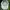 Vintage Sportswear Hat Pria white photo 3