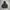 Piko Sports Vintage Y2K Hoody Pria gray photo 2