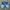 Phat Farm Streetwear Y2K Short Pria blue photo 4