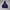 Adidas Vintage Y2K Hoody Pria Navy