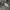 Dickies Vintage Casual Track jacket Pria gray photo 7