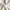 Uniqlo Casual Casual pants Pria cream photo 4