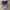 Nike Streetwear Sportswear Short Pria multicolor photo 1