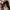 Bottega Veneta Luxury Casual Shoulder bag Wanita brown photo 2