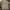 Zegna Gorpcore Casual Polo shirt Pria blue photo 2