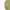 Lacoste Vintage Cardigan Pria yellow photo 4