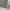Adidas Sportswear Sweatshirt Pria gray photo 3