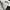 Dickies Vintage Casual Casual pants Pria black photo 6