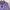 Vintage Sportswear Windbreaker Pria purple photo 3
