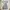 Emo Coquette Midi dress Wanita black gray photo 2