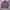 Stussy Streetwear Casual Bomber jacket Pria burgundy photo 3