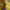 H&M Streetwear Hoody Pria yellow photo 2