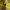 H&M Streetwear Hoody Pria Yellow