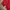 Asics Y2K Sportswear Sweatshirt Pria red photo 5