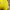 Adidas Y2K Sportswear Sweatshirt Pria yellow photo 5
