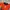 Adidas Y2K Sportswear Sweatshirt Pria orange photo 3