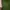 Vintage Streetwear Wanita green photo 3