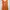 Love Bonito Casual Maxi dress Wanita white orange photo 7