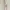Love Bonito Casual Casual dress Wanita tan photo 4