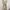 Love Bonito Casual Casual dress Wanita tan photo 7