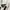 Diesel Vintage Casual Windbreaker Pria white black photo 4