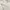 Marvel Y2K Casual Windbreaker Pria white photo 4