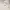 Marvel Y2K Casual Windbreaker Pria white photo 3