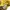 Casual Windbreaker Pria yellow photo 4