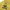 Casual Windbreaker Pria yellow photo 2