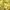 Casual Windbreaker Pria yellow photo 3