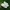 Nike Air Jordan Casual Sneakers Wanita green photo 1