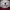 Vintage Streetwear Hat Pria burgundy white photo 2