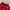 Arnold Palmer Casual Polo shirt Pria red photo 4