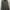Avant Garde Sweatshirt Pria multicolor green photo 1